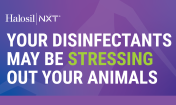 Fear Free Disinfectants